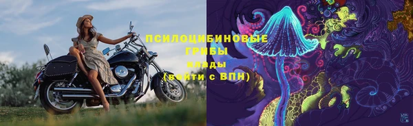 гашик Алексеевка