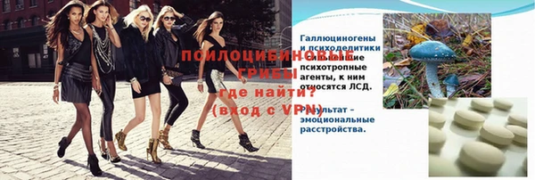гашик Алексеевка