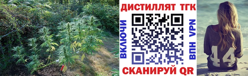omg ссылки  Гурьевск  ТГК вейп 