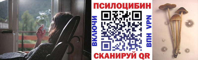 Псилоцибиновые грибы мицелий  Гурьевск 